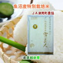 令和7年産 新米 こしひかり 魚沼産 新潟県 特A地区 中魚沼 JA魚沼農協 魚沼産 コシヒカリ30kg 雪美人 特別栽培米 送料無料【お米 ギフト グルメ】