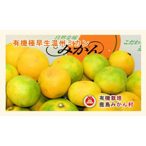 佐賀県 鹿島市 有機みかん佐藤農場 有機転換栽培 極早生温州みかん 3kg 採りたてを農園から産地直送 送料無料【ミカン 果実 ギフト 無農薬栽培】 san-etigoya-10002542 産直越後屋 サンプル画像2