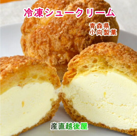 シュークリーム 青森県創作洋菓子店 小向製菓 冷凍シュー バニラ味 10個 送料無料【お中元 父の日 ギフト グルメ 贈り物】