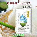 令和5年産 新潟県産 新潟県産 新潟米 こしいぶき20kg JA農協米 新潟ケンベイ産 送料無料