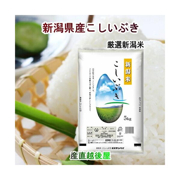 令和5年産 新潟県産 新