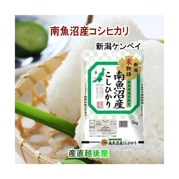 令和6年産 魚沼産 コシヒカリ 新潟県南魚沼産 特A地区 コシヒカリ20kg JA農協米 新潟ケンベイ産 送料無料 【お中元 米 こしひかり ギフト グルメ】 【母の日 父の日】