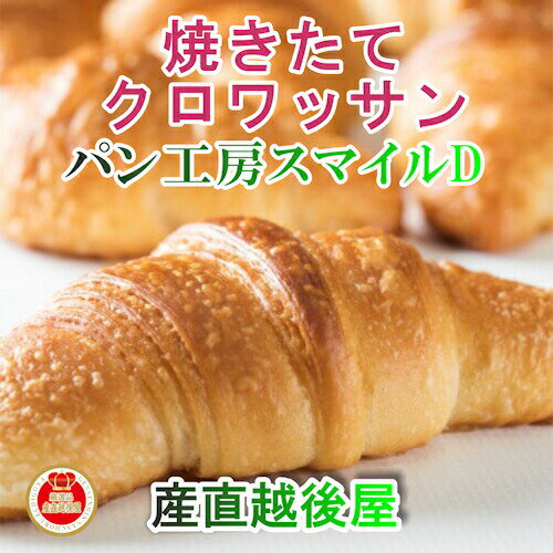 越後十日町 パン工房 スマイルD焼きたてクロワッサン 10個入【ギフト グルメ プレゼント 焼たて】 【母の日 父の日】