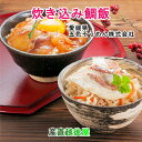 愛媛県五色そうめんの老舗 炊き込み鯛飯2個 刺身鯛飯2個 各2合用 食べ比べセット 合計4セット 五色そうめん直営店 送料無料【 お中元 炊き込みご飯 ギフト ...