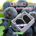 山梨県 JAフルーツ山梨 組合長推奨 ハウス栽培 種なし巨峰 最高品質 化粧箱3房入り 送料無料【果物 贈答品 ギフトグルメ】 【お中元】