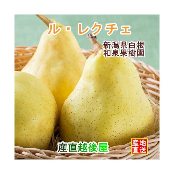 新潟県白根 梨栽培農家 和泉果樹園有機質肥料栽培 ルレクチェ 2kg(5個～7個）家庭用梨 送料無料【ル・レクチェ 梨 ギフト プレゼント】 【お歳暮】