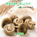 しいたけ 八色しいたけ 南魚沼産 新潟県 南魚沼 JAみなみ魚沼農協 南魚沼産 八色しいたけ 1kg箱入 送料無料【ギフト 送り物 グルメ】