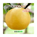 新潟県 梨栽培果樹園 土田農園 有機肥料栽培 幸水梨 贈答用 3kg(6個〜9個)送料無料【なし 和梨 ギフト 贈答品 プレゼント】 【お中元】