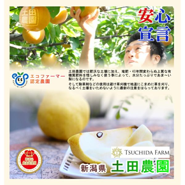 新潟県 梨栽培果樹園 土田農園 有機肥料栽培 幸水梨 家庭用 5kg(9個〜16個）送料無料【なし 和梨 ギフト 贈答品 プレゼント】 san-etigoya-10002038 産直越後屋 サンプル画像3