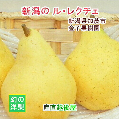 新潟県 加茂市 金子果樹園 新潟の幻の梨 ル・レクチェ 3kg（8〜9個 厳選した洋梨 化粧箱入り 送料無料【お歳暮 なし フルーツ 果実 贈答品 ギフト】 【お歳暮】