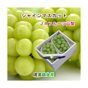 山梨県 JAフルーツ山梨 組合長推奨 ハウス栽培 シャインマスカット 最高品質 化粧箱2房入り 約1.2kg 送料無料【果物 贈答品 ギフトグルメ】 【お中元】