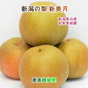 新潟県白根 梨栽培農家 和泉果樹園 有機質肥料栽培 新美月梨 3kg(5個~7個)家庭用 送料無料【なし 贈答品 ギフト プレゼント】 【お中元】