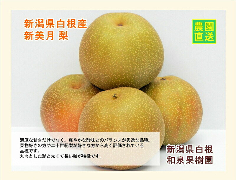 新潟県白根 梨栽培農家 和泉果樹園 有機質肥料栽培 新美月梨 5kg(7個〜12個）贈答品 送料無料【なし 贈答品 ギフト プレゼント】 san-etigoya-10003236 産直越後屋 サンプル画像2