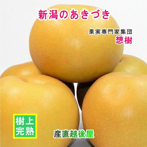 新潟県 三条果実専門家集団 想樹 完熟 あきづき 5kg 秀品（8個〜12個）贈答用 送料...