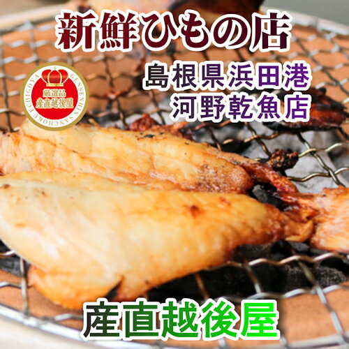 【魚 干物 のどぐろ 冷凍】島根県浜田港 干物の河野乾魚店干