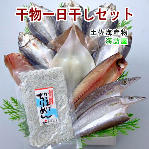 【魚 海産物 干物 詰合せ 送料無料】高知県高知市場 土佐海産物 海訪屋厳選1日干セット 冷凍便でお届け【干物セット ギフト 贈り物 産地直送】