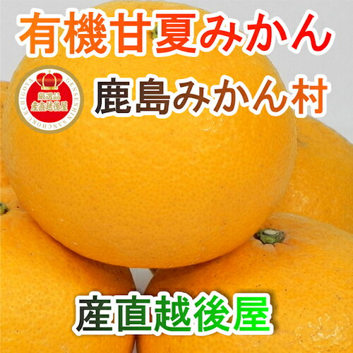 【フルーツ みかん 有機栽培 甘夏】佐賀県 鹿島市 有機みかん佐藤農場有機栽培 甘夏 4kg採りたてを農園から産地直送送料無料【ミカン 果実 ギフト 無農薬栽培】