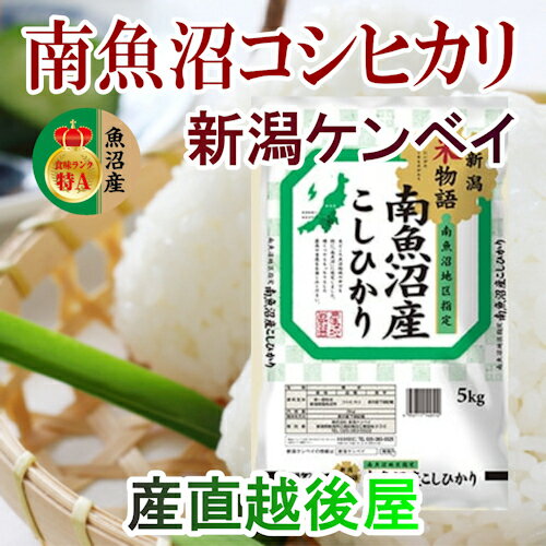 【令和3年産 新米 新潟県産 コシヒカリ】新潟県南魚沼産 特A地区 コシヒカリ10kgJA農協米 新潟ケンベイ産 送料無料【こしひかり ギフト 贈り物】