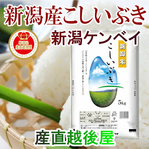 【令和元年産 新潟県産 コシヒカリ】新潟県産 新潟米 こしいぶき5kgJA農協米 新...