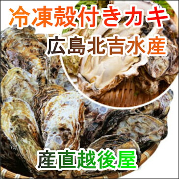 【魚介類 水産加工品 貝類 カキ】広島県 呉市 広島カキの老舗北吉水産の冷凍殻付きカキ 6個入 2パック【かき 冷凍食品 ギフト プレゼント】