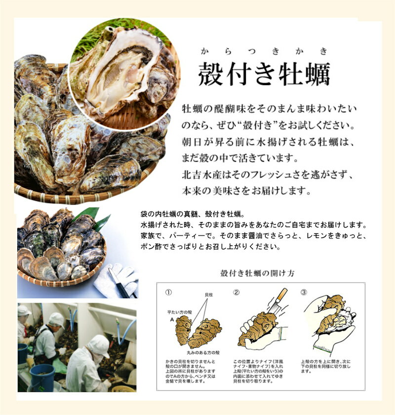 【魚介類 水産加工品 貝類 カキ】広島県 呉市 広島カキの老舗北吉水産の冷凍殻付きカキ 6個入5パック【かき 冷凍食品 ギフト プレゼント】