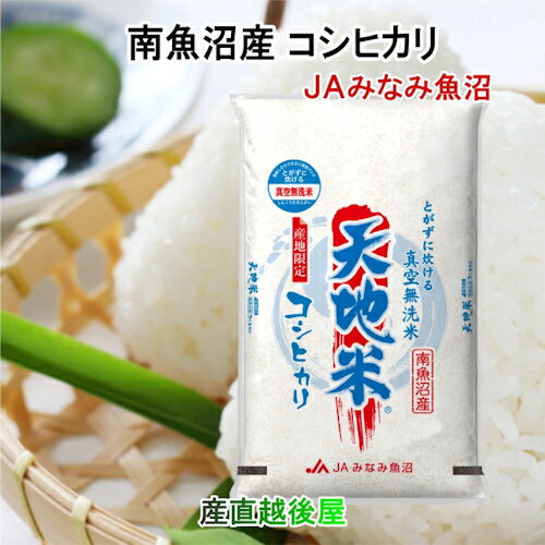 令和5年産 新米 南魚沼産 コシヒカリ 30kg 無洗米新潟県 南魚沼 JAみなみ魚沼農協真空包装 天地米 送料無料【こしひかり 魚沼産 米 ギフト 贈り物】のサムネイル