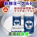 新潟県阿賀野市 ヤスダヨーグルトドリンクヨーグルト800g 6本入り送料無料