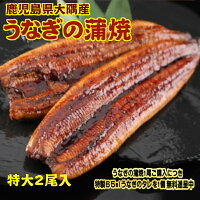 特大サイズ 2尾入り 1尾200グラム 鹿児島県 大隅産 国産 税込 送料無料 うなぎの蒲焼 鰻