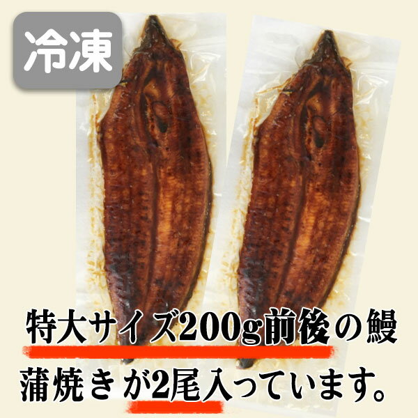 特大サイズ 2尾入り 1尾200グラム 鹿児島県 大隅産 国産 税込 送料無料 うなぎの蒲焼 鰻