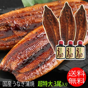 超特大サイズ 3尾入り 1尾250グラム前後 鹿児島県 大隅産 国産 送料無料 うなぎの蒲焼 特製うなぎのタレ無料進呈中