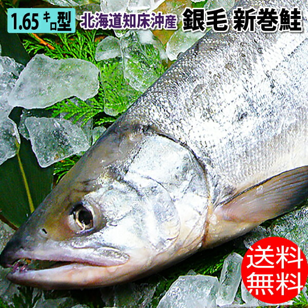 1.65キロ型｜北海道産銀毛新巻鮭