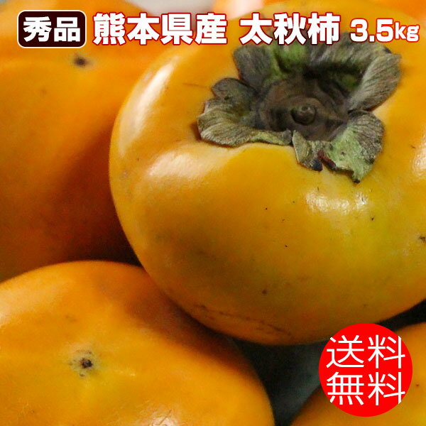 熊本県産 太秋柿