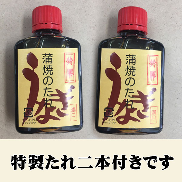 特大サイズ 2尾入り 1尾200グラム 鹿児島県 大隅産 国産 税込 送料無料 うなぎの蒲焼 鰻