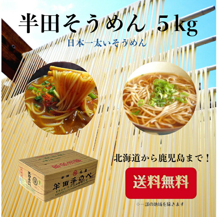 半田そうめん 送料無料 竹田製麺 半田素麺 半田 素麺 ギフト 手延べ そうめん 自家需要 大容量 食べ応え抜群 保存食 非常食 簡単 冬あったか お中元 お歳暮 売れてます 半田そうめん 5キロ 125g 40束 