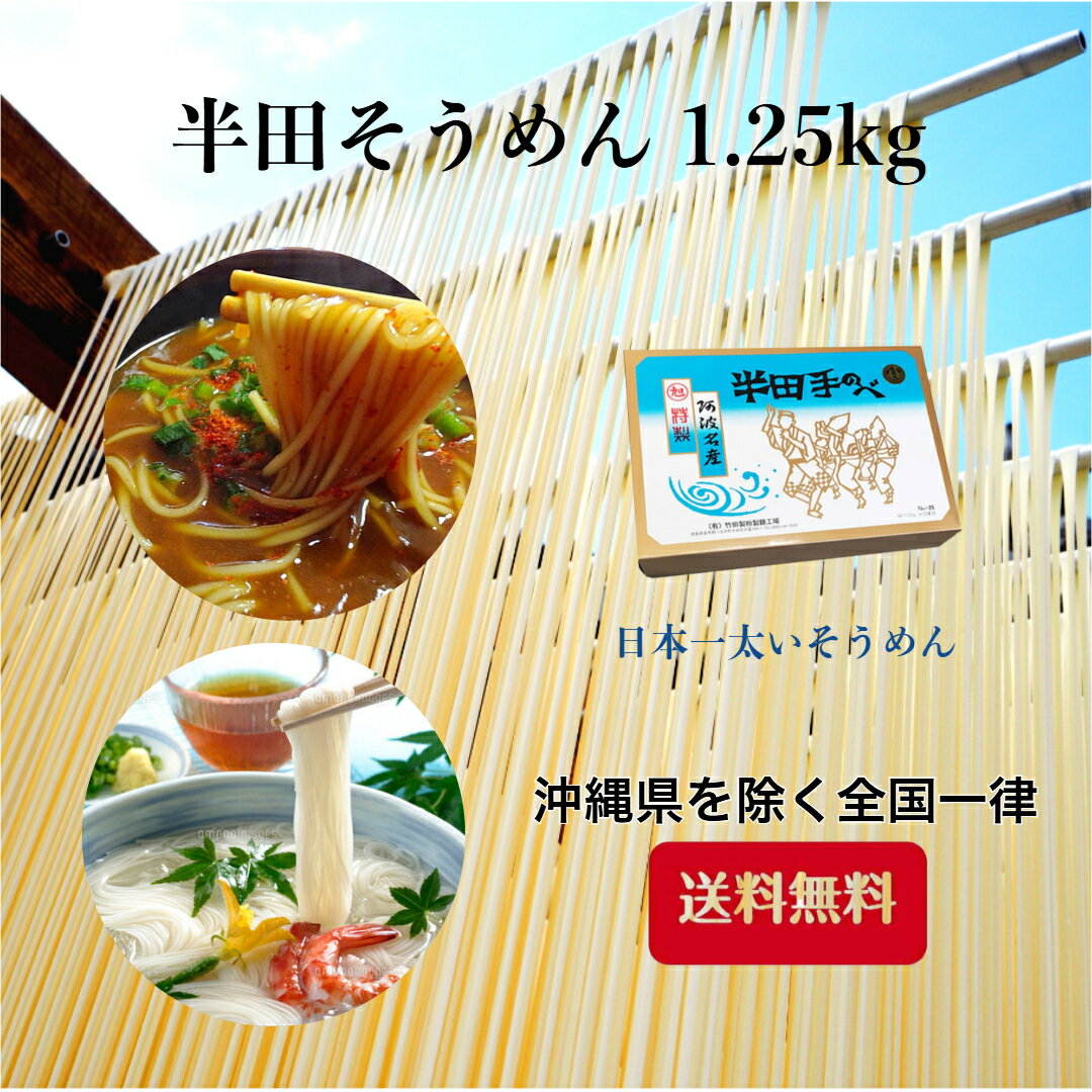 ＼手延べ半田そうめん／ 送料無料 竹田製麺 半田素麺 半田 素麺 ギフト 手延べ 自宅用 自家需要 グルメ 食べ応え抜群 保存食 時短 簡単 冬あったか お中元 お歳暮 半田そうめん 1.25キロ 手延べ 太口 麺線 コシ のど越し 伝統製法 徳島名産 にゅうめん 贈答品 特産品 乾麺