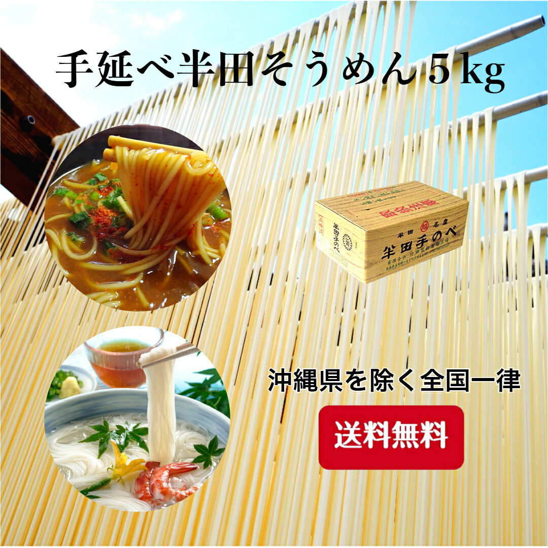 ＼手延べ半田そうめん ／竹田製麺 手延べ 5キロ (125g×40束) そうめん 熨斗 包装 自家需要 保存食 グルメ 簡単 お中元 お歳暮 贈りもの 太口 麺線 コシ のど越し 伝統製法 徳島名産 徳島 にゅうめん 贈答品 特産品 乾麺 モチモチ