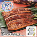 お中元 送料無料<鰻楽>鰻楽九州産うなぎ蒲焼長焼4尾人気 おすすめ 食品 魚介類 海産物 水産加工品 ※こちらの商品は、メーカーおよび委託倉庫からの発送です。