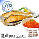 お中元 送料無料<網走水産>北海道産 焼鮭切身・いくらセット人気 おすすめ 食品 魚介類 海産物 水産加工品 ※こちらの商品は、メーカーおよび委託倉庫からの発送です。