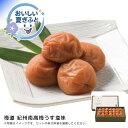 お中元 送料無料梅道 紀州南高梅うす塩味人気 おすすめ 食品 惣菜 和惣菜 和風惣菜 総菜 ※こちらの商品は、メーカーおよび委託倉庫からの発送です。