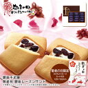 敬老の日 送料無料<銀座千疋屋>敬老祝 銀座レーズンサンド人気 おすすめ スイーツ お菓子 洋菓子 ※こちらの商品は、メーカーおよび委託倉庫からの発送です。