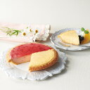 <ガトーSHIRAHAMA>チーズケーキハーフ&ハーフ16cm(フォーク付) 1591人気 おすすめ スイーツ お菓子 洋菓子 ※こちらの商品は、メーカーおよび...