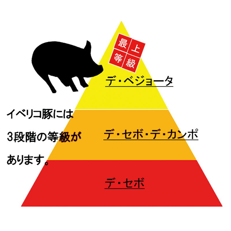 イベリコ豚ベジョータ しゃぶしゃぶ L-I-B060-1人気 おすすめ 食品 精肉 肉 肉加工品 ※こちらの商品は、メーカーおよび委託倉庫からの発送です。