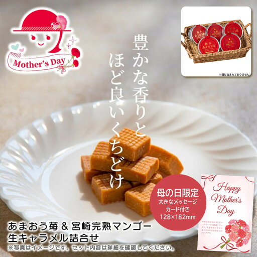 母の日 あまおう苺&宮崎完熟マンゴー 生キャラメル詰合せ人気 おすすめ 食品 精肉 肉 肉加工品 ※こちらの商品は、メーカーおよび委託倉庫からの発送です。 母の日 あまおう苺&宮崎完熟マンゴー 生キャラメル詰合せ人気 おすすめ 食品 精肉 肉 肉加工品 ※こちらの商品は、メーカーおよび委託倉庫からの発送です。