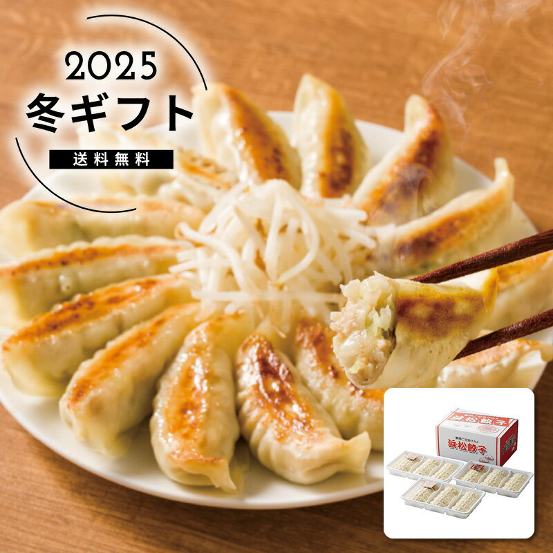 お歳暮 送料無料＜浜松餃子＞浜松餃子人気 おすすめ 食品 中華 中華惣菜 中華風惣菜 総菜 ※メーカー直..