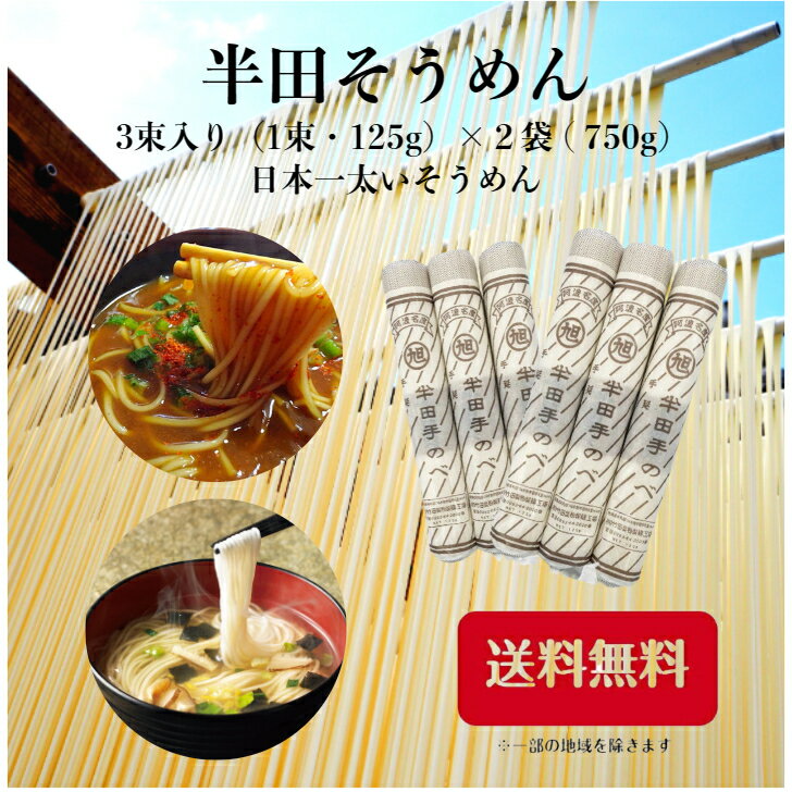 半田そうめん 送料無料 竹田製麺 半田素麺 半田 素麺 ギフト 手延べ そうめん 自宅用 自家需要 大容量 食べ応え抜群 保存食 時短 簡単 ..