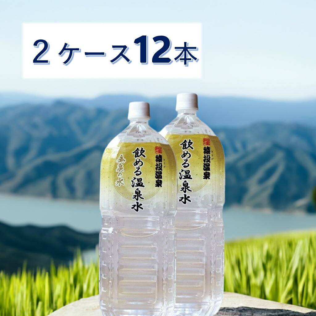 2ケースお得セット！ 2L×6本×2ケース　 金泉の水　猿投温泉　 飲める天然温泉水のサムネイル