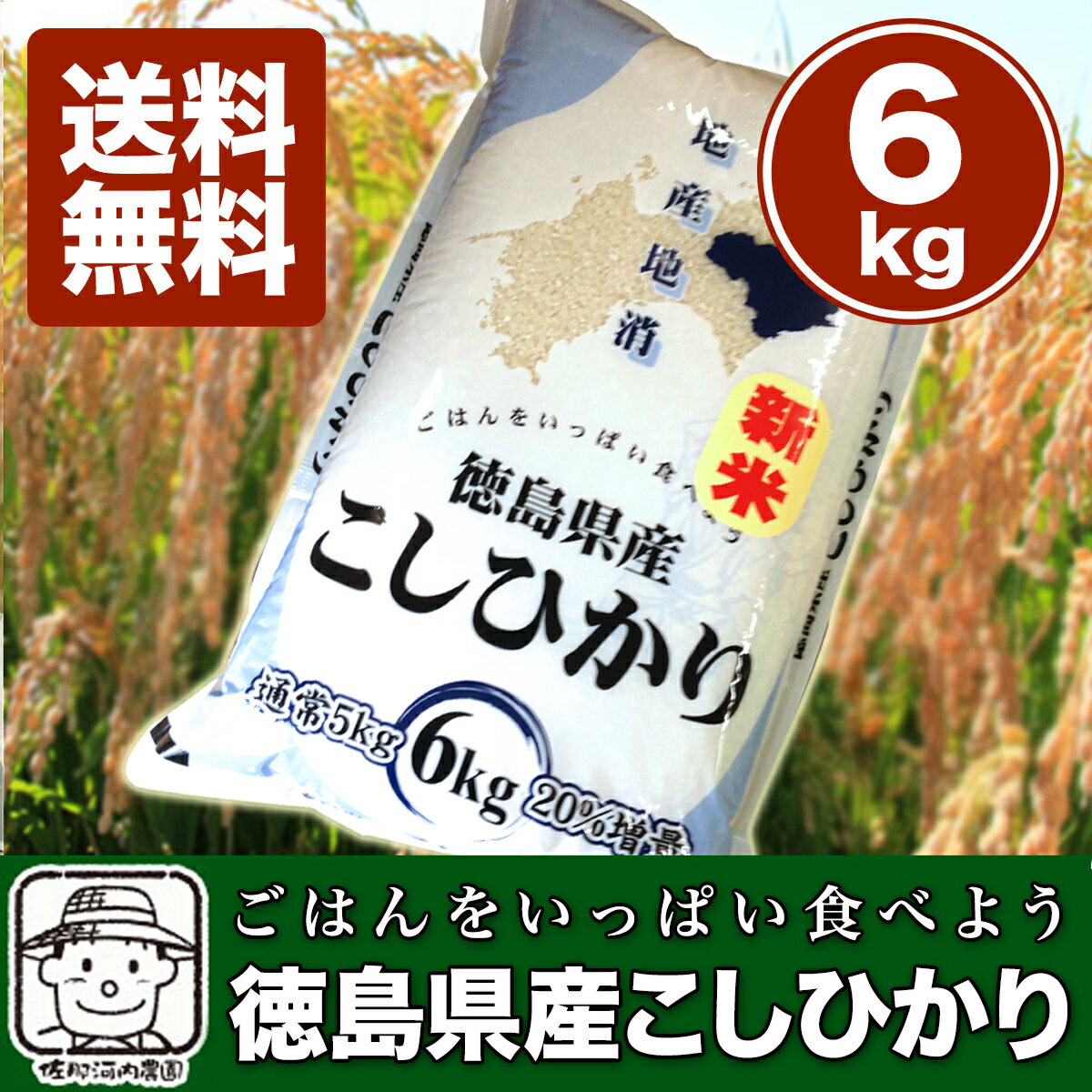 令和6年産新米　四国　徳島県産のお米徳島県産こしひかり 6kg（増量）お得パック 白米【送料無料】※北海道、沖縄及び離島は別途発送料金が発生しますのサムネイル