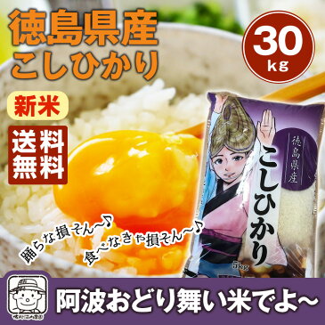 新米 令和元年産【送料無料】徳島コシヒカリ 阿波踊り米 30kg（5kg×6袋）白米 ※北海道、沖縄及び離島は別途発送金が発生します