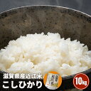 令和6年産【送料無料】 米 滋賀県産 近江米 こしひかり 10kg(5kg×2) お米※北海道、沖縄及び離島は別途発送料金が発生します