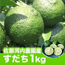 【佐那河内農園】自社栽培で低価格！≪令和4年度産≫すだち(1kg)※北海道、沖縄等離島は別途要送料